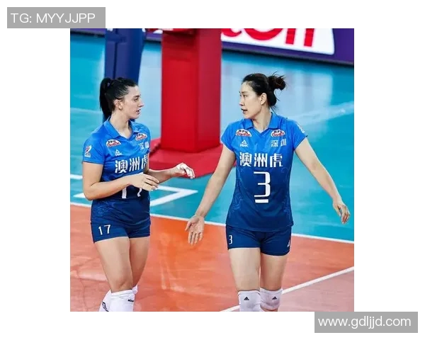 深圳排球队包夹战术创新探索与实践分析 深圳排球队包夹战术创新探索与实践分析