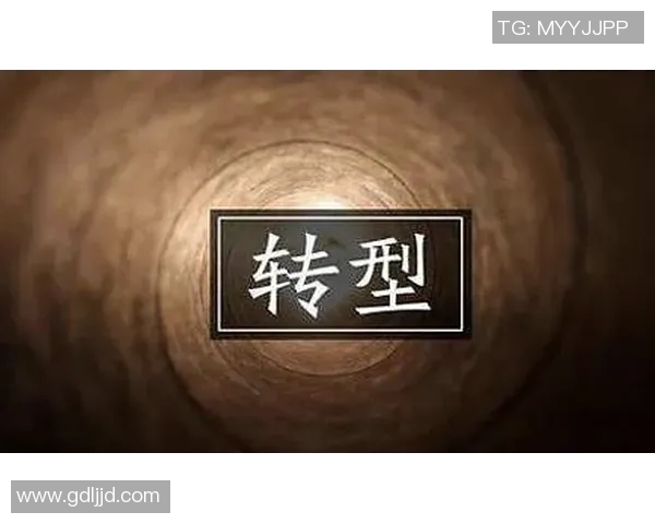 重庆排球队的转型之路:深度解析排球运动的变革与发展 重庆排球队的转型之路:深度解析排球运动的变革与发展