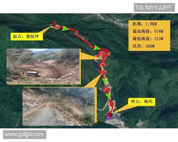 南京极限运动队与深圳极限运动队速度对决赛后分析与总结