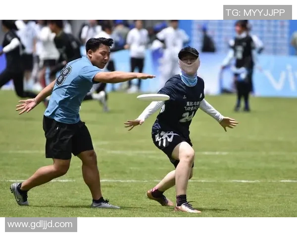 南京飞盘队领跑最新飞盘配合TOP10榜单展现实力与魅力